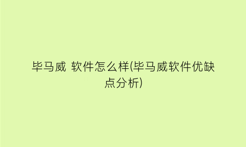 “毕马威软件怎么样(毕马威软件优缺点分析)